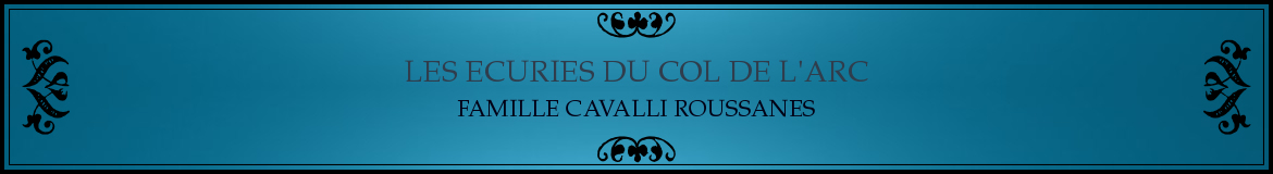 LES ECURIES DU COL DE L'ARC
